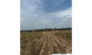 LAS TABLAS / PARITILLA / FINCA / 52 HECTAREAS