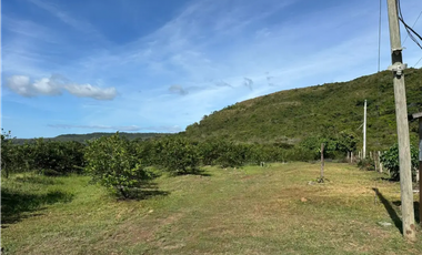 COCLE / CAÑAVERAL / FINCA / 11 HECTAREAS