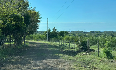 COCLE / CAÑAVERAL / FINCA / 11 HECTAREAS