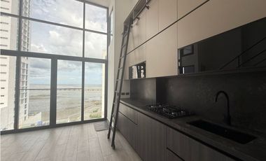 ALQUILER DE APARTAMENTO COCO DEL MAR PH DOVLE