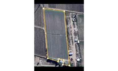 VENTA EXCLUSIVA FINCA 2,6 HAS DE MALBEC- LA CONSULTA, SAN CARLOS, MZA
