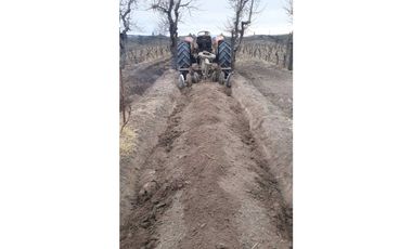 VENTA EXCLUSIVA FINCA 2,6 HAS DE MALBEC- LA CONSULTA, SAN CARLOS, MZA