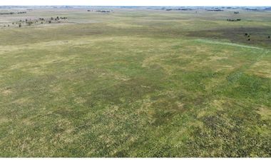 Campo en venta. 90 Has. ganaderas en Udaondo Pdo de Cañuelas