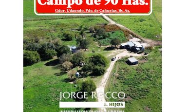 Campo en venta. 90 Has. ganaderas en Udaondo Pdo de Cañuelas