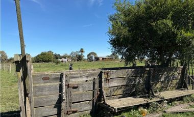 Campo en venta. 90 Has. ganaderas en Udaondo Pdo de Cañuelas