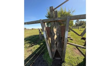 Campo en venta. 90 Has. ganaderas en Udaondo Pdo de Cañuelas