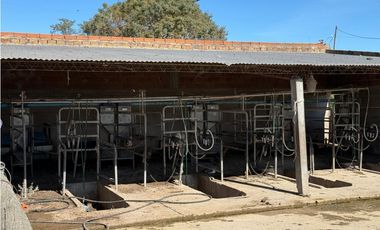 Campo en venta. 90 Has. ganaderas en Udaondo Pdo de Cañuelas