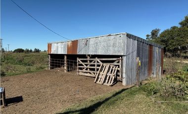 Campo en venta. 90 Has. ganaderas en Udaondo Pdo de Cañuelas