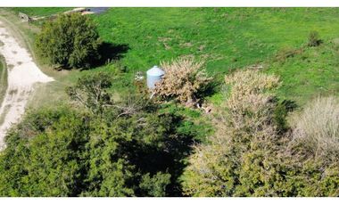 Campo en venta. 90 Has. ganaderas en Udaondo Pdo de Cañuelas