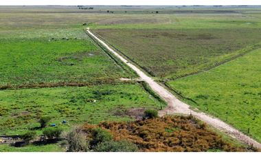 Campo en venta. 90 Has. ganaderas en Udaondo Pdo de Cañuelas