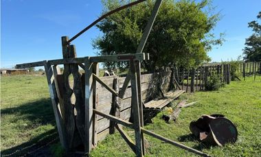 Campo en venta. 90 Has. ganaderas en Udaondo Pdo de Cañuelas