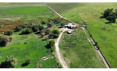 Campo en venta. 90 Has. ganaderas en Udaondo Pdo de Cañuelas