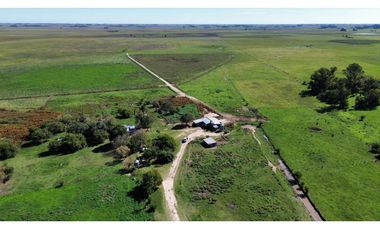 Campo en venta. 90 Has. ganaderas en Udaondo Pdo de Cañuelas