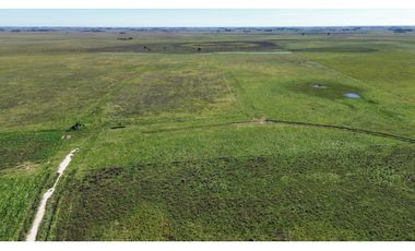 Campo en venta. 90 Has. ganaderas en Udaondo Pdo de Cañuelas