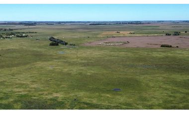 Campo en venta. 90 Has. ganaderas en Udaondo Pdo de Cañuelas