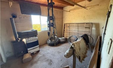 Campo en venta. 90 Has. ganaderas en Udaondo Pdo de Cañuelas