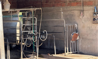 Campo en venta. 90 Has. ganaderas en Udaondo Pdo de Cañuelas