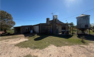 Campo en venta. 90 Has. ganaderas en Udaondo Pdo de Cañuelas