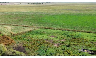 Campo en venta. 90 Has. ganaderas en Udaondo Pdo de Cañuelas