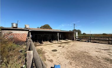 Campo en venta. 90 Has. ganaderas en Udaondo Pdo de Cañuelas