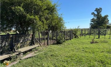 Campo en venta. 90 Has. ganaderas en Udaondo Pdo de Cañuelas