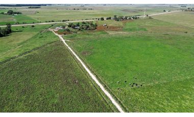 Campo en venta. 90 Has. ganaderas en Udaondo Pdo de Cañuelas