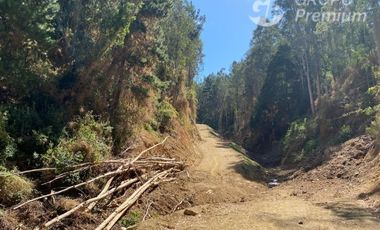 Terreno Construccion  en Venta en SECTOR EL RECODO-SAN PEDRO DE LA PAZ