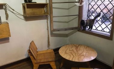 Local Comercial en Arriendo en Julio Prado / Francisco Bilbao / Av. Salvador