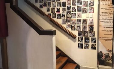 Local Comercial en Arriendo en Julio Prado / Francisco Bilbao / Av. Salvador