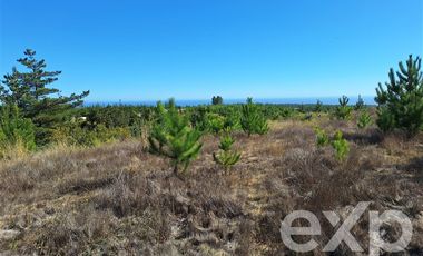 Sitio en Venta en Vende Lote 8 Pichilemu vista al mar