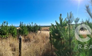 Terreno Construccion en Venta en Vende Lote Pichilemu vista al mar