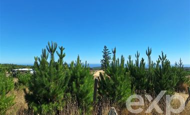 Terreno Construccion en Venta en Vende Lote Pichilemu vista al mar