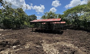Quinta en Venta en PANABA Yucatan