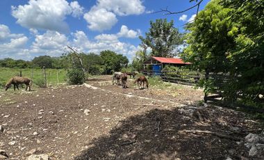 Quinta en Venta en PANABA Yucatan