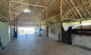 Quinta en venta en Panabá Yucatán