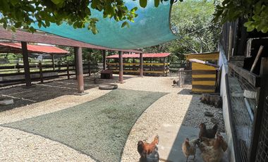 Quinta en venta en Panabá Yucatán