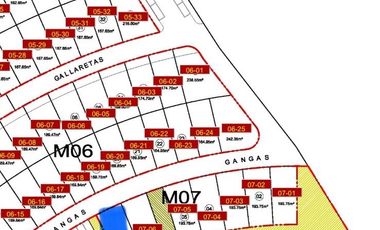Terreno en Venta, Ribera del Lago, San Pedro Valencia, Bellavista, Jalisco