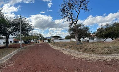 Terreno en Venta, Ribera del Lago, San Pedro Valencia, Bellavista, Jalisco