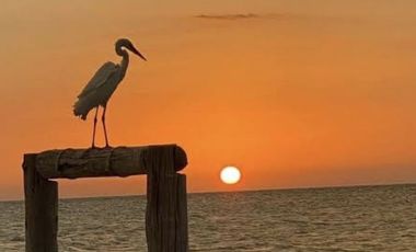 TERRENO EN VENTA EN LA PLAYA A 200 MTS DEL MAR EN SAN BENITO PROGRESO MERIDA YUC