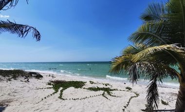 TERRENO EN VENTA EN LA PLAYA A 200 MTS DEL MAR EN SAN BENITO PROGRESO MERIDA YUC
