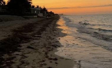TERRENO EN VENTA EN LA PLAYA A 200 MTS DEL MAR EN SAN BENITO PROGRESO MERIDA YUC