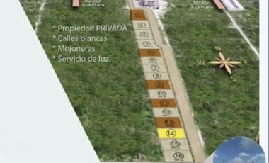 TERRENO EN VENTA EN LA PLAYA A 200 MTS DEL MAR EN SAN BENITO PROGRESO MERIDA YUC