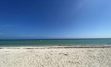 TERRENO EN VENTA EN LA PLAYA A 200 MTS DEL MAR EN SAN BENITO PROGRESO MERIDA YUC