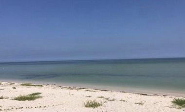 TERRENO EN VENTA EN LA PLAYA A 200 MTS DEL MAR EN SAN BENITO PROGRESO MERIDA YUC