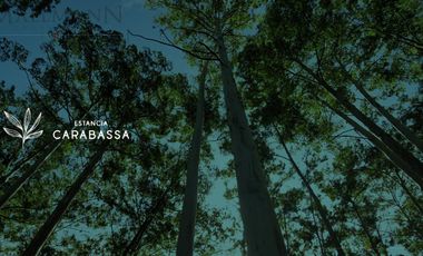 Venta Lote en Estancia Carabassa