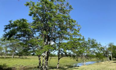 Venta Lote en Estancia Carabassa