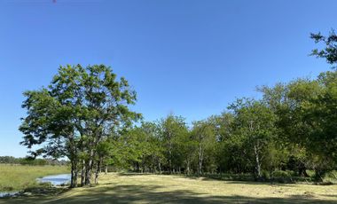 Venta Lote en Estancia Carabassa