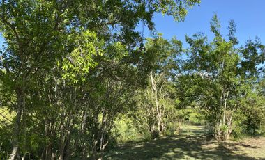 Venta Lote en Estancia Carabassa