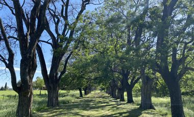 Venta Lote en Estancia Carabassa