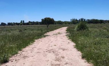 Terreno en venta - 30.000Mts2 - Estancia Benqueria, Monte